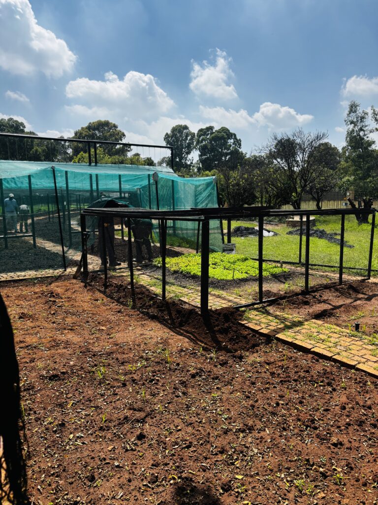 Garden Image 13